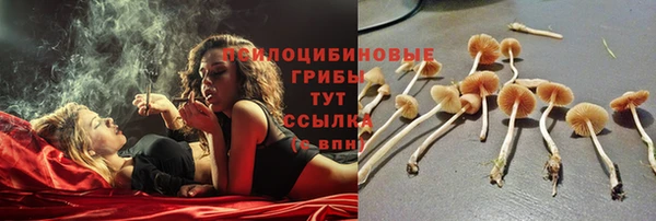 a pvp Новокубанск